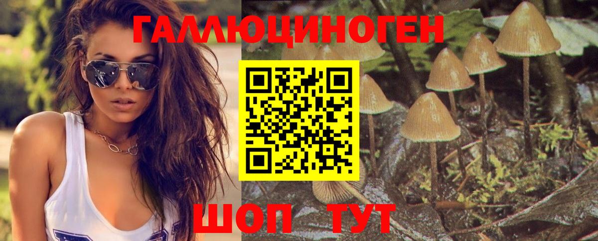 Саки  Псилоцибиновые грибы MAGIC MUSHROOMS  Вход с VPN  Псилоцибиновые грибы GOLDEN TEACHER 
